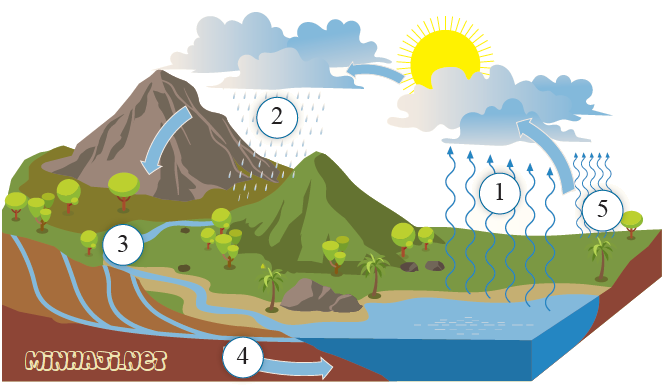 كيفية انتقال المياه عبر غُلف الأرض المختلفة
